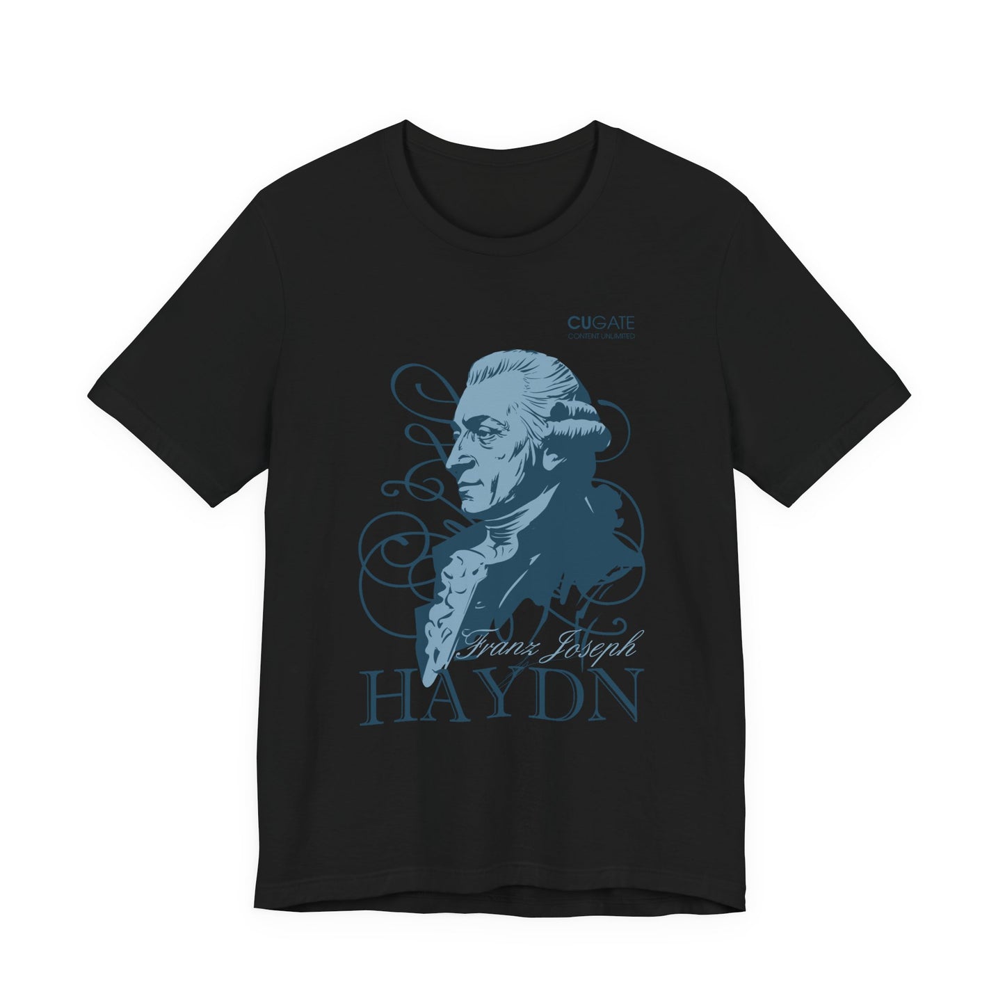 Haydn T-Shirt (Dark): Classical Music T-Shirt, Haydn Shirt, Franz Joseph Haydn Gift, Haydn Tribute Tee