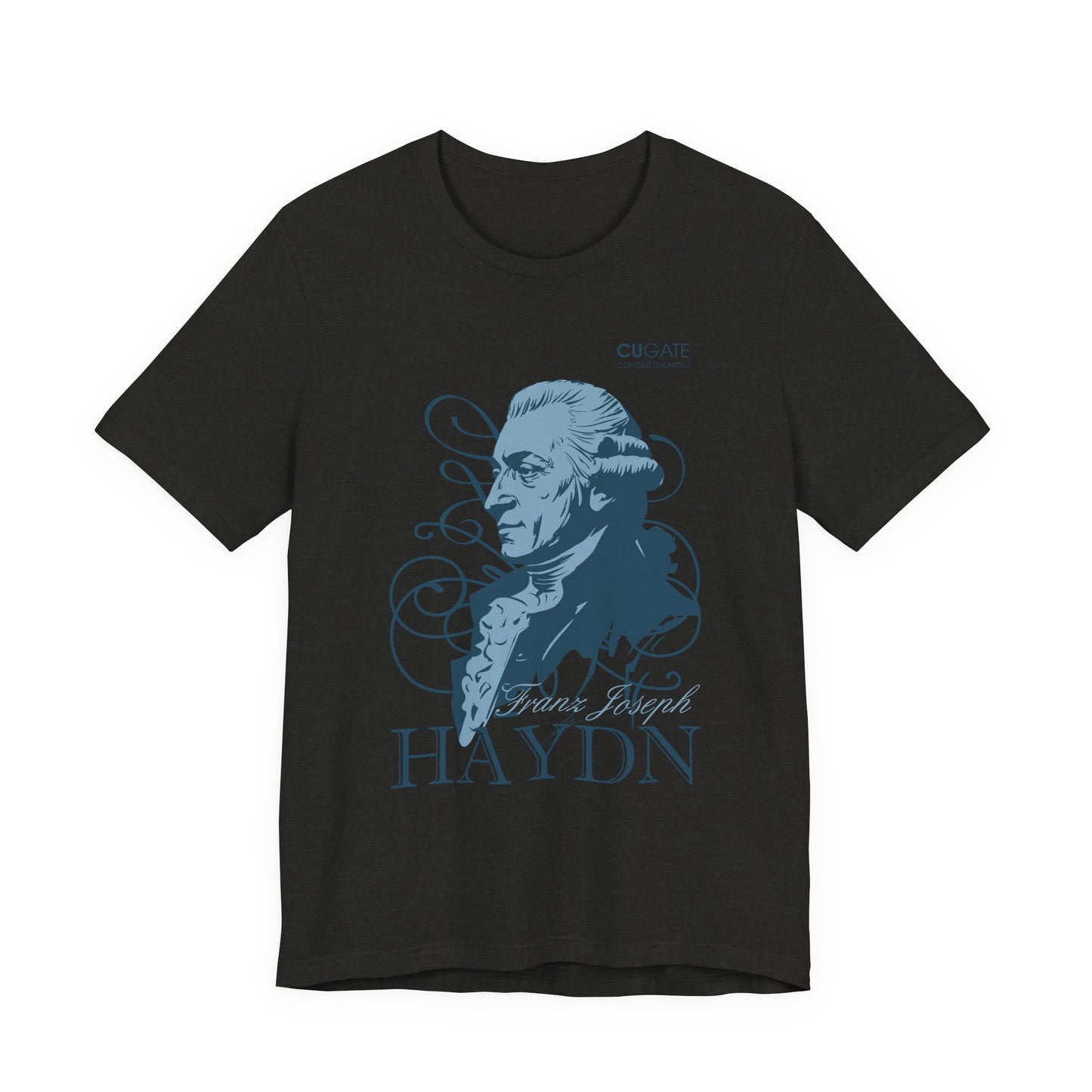 Haydn T-Shirt (Dark): Classical Music T-Shirt, Haydn Shirt, Franz Joseph Haydn Gift, Haydn Tribute Tee