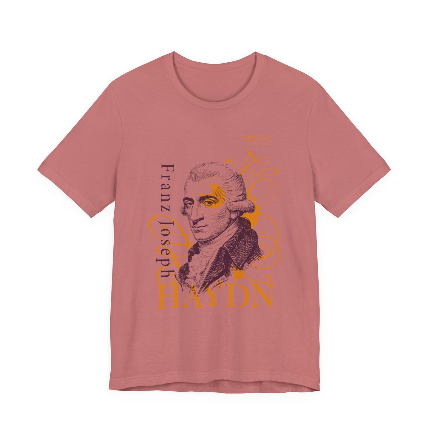 Haydn T-Shirt (Light): Classical Music T-Shirt, Haydn Shirt, Franz Joseph Haydn Gift, Haydn Tribute Tee
