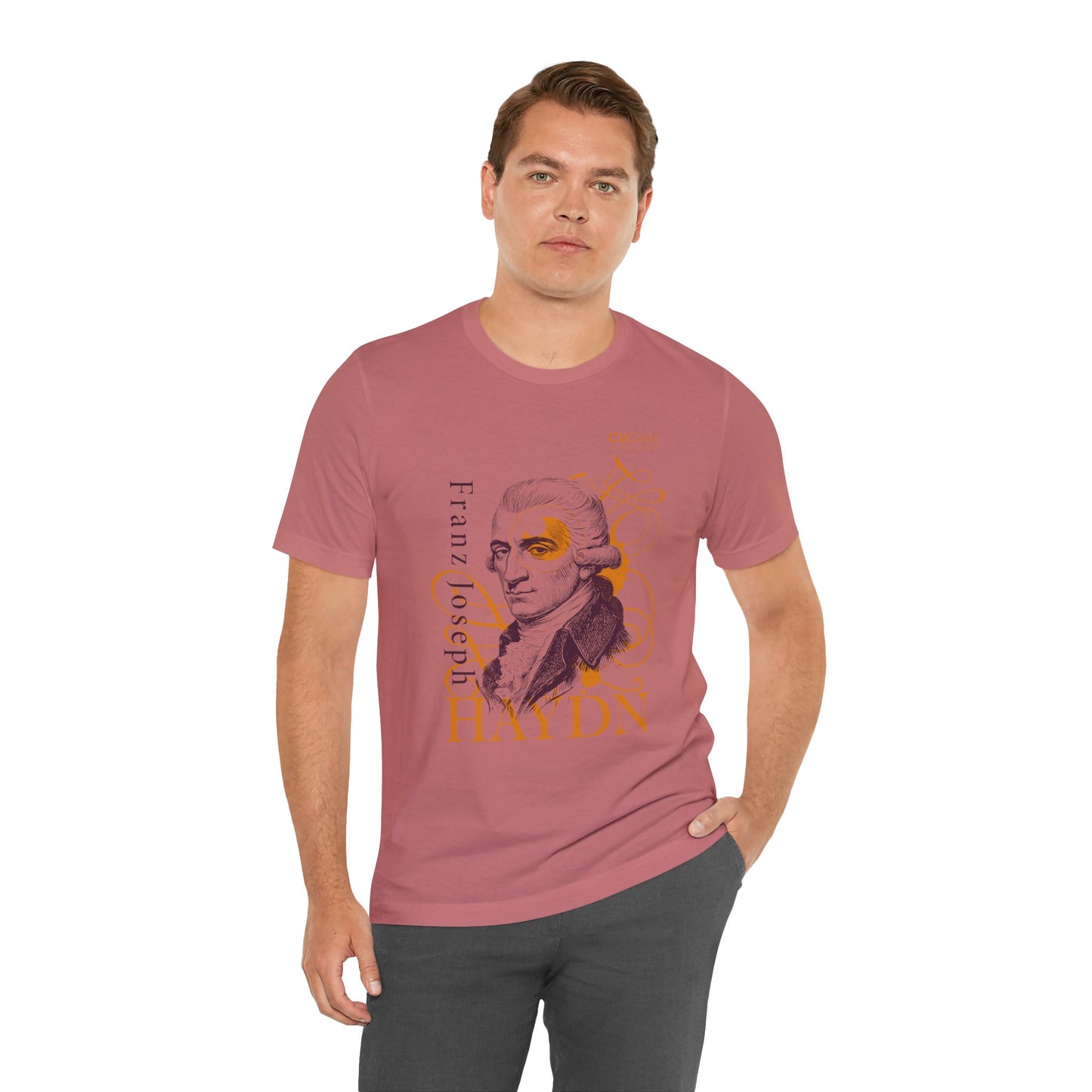Haydn T-Shirt (Light): Classical Music T-Shirt, Haydn Shirt, Franz Joseph Haydn Gift, Haydn Tribute Tee