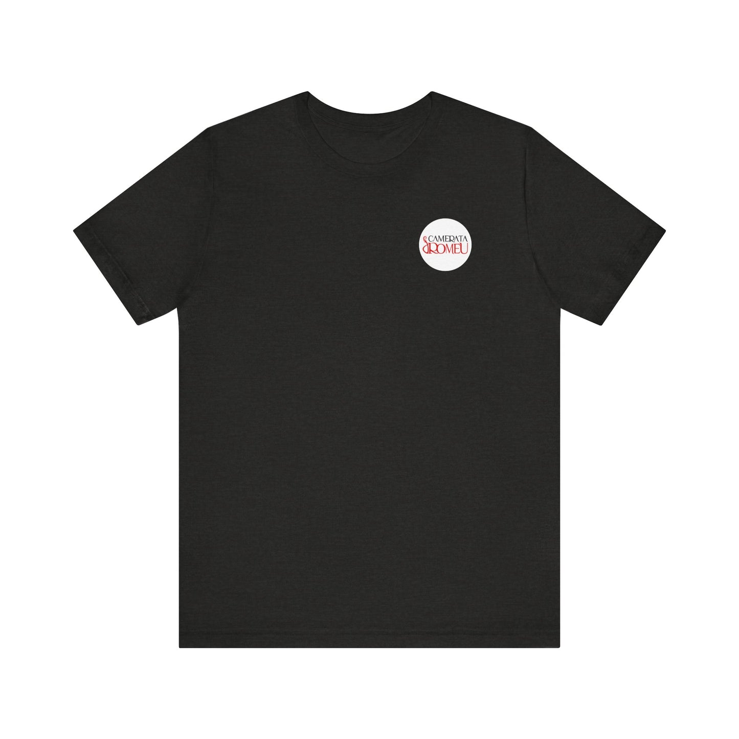 Back Design: Play like a Girl: Camerata Romeu Shirt, Play like a Girl Shirt, Orchestra Shirt, Female Musician Shirt, Violin Shirt