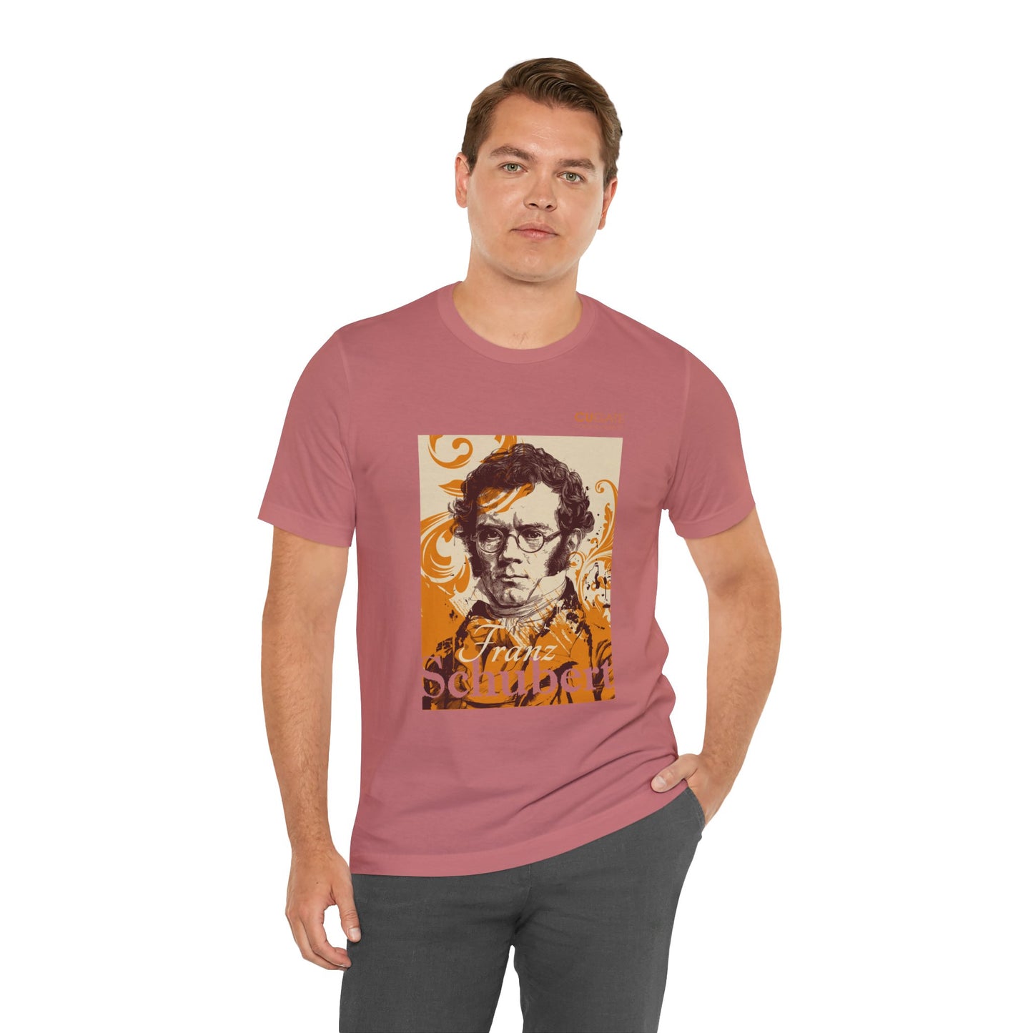 Schubert T-Shirt (Light): Classical Composer T-Shirt, Classical Music Shirt, Franz Schubert Tribute Tee
