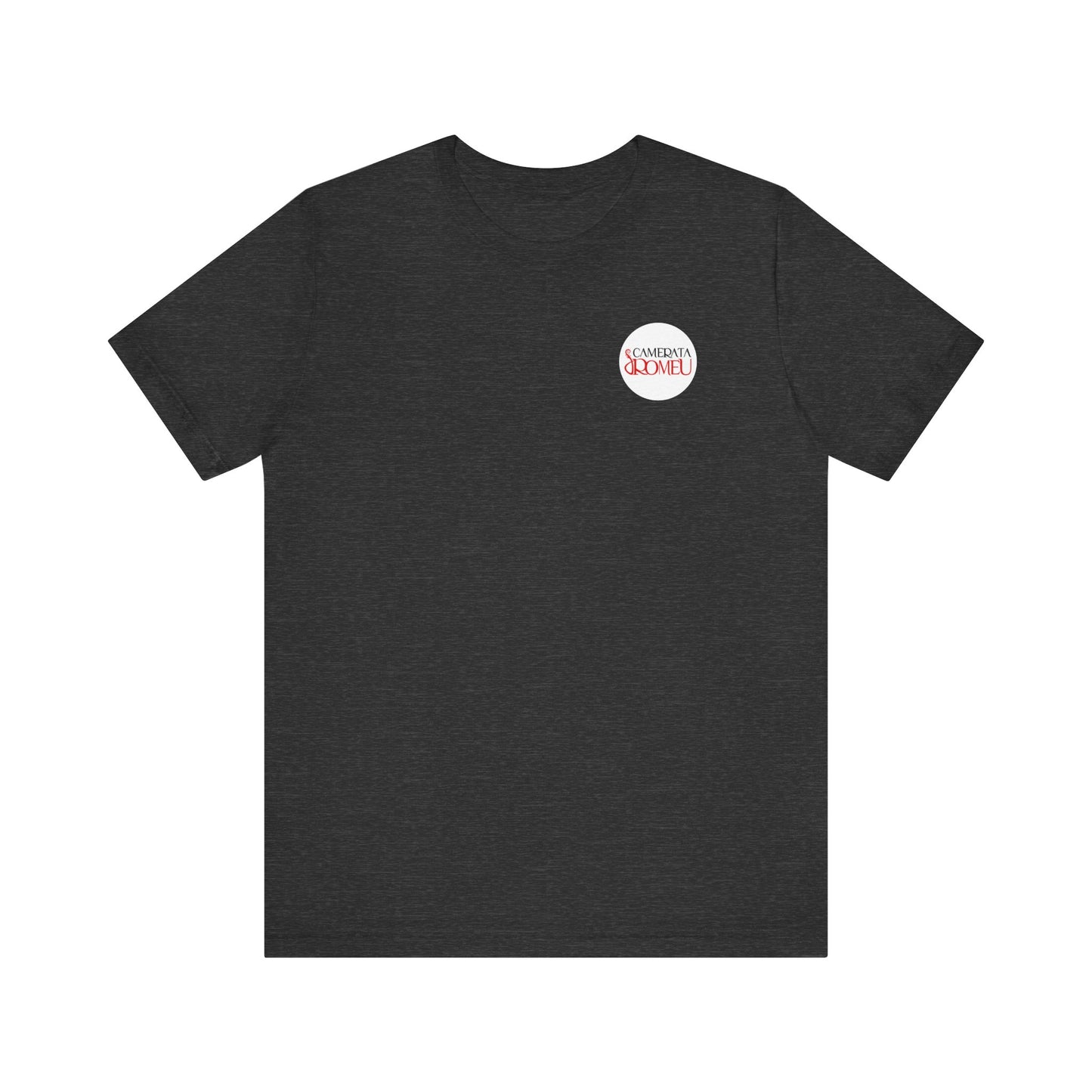 Back Design: Play like a Girl: Camerata Romeu Shirt, Play like a Girl Shirt, Orchestra Shirt, Female Musician Shirt, Violin Shirt
