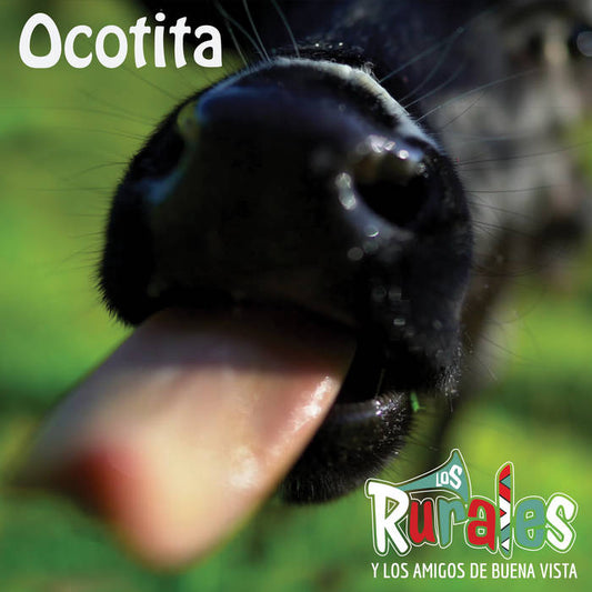 Ocotita by Los Rurales Y Los Amigos De Buenavista